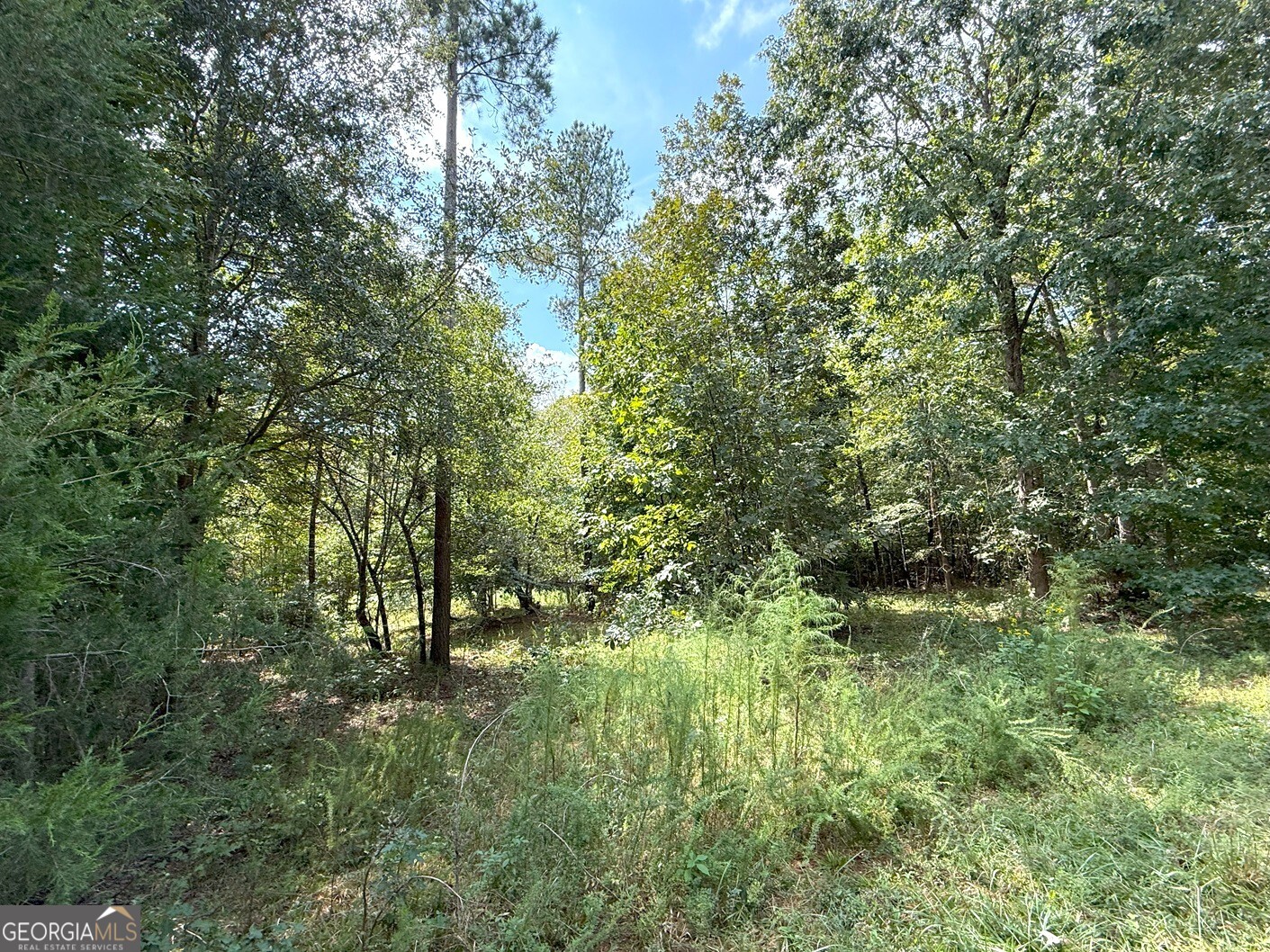 1049 Jaybird Road Elberton, GA 30635 - Photo 5 of 5