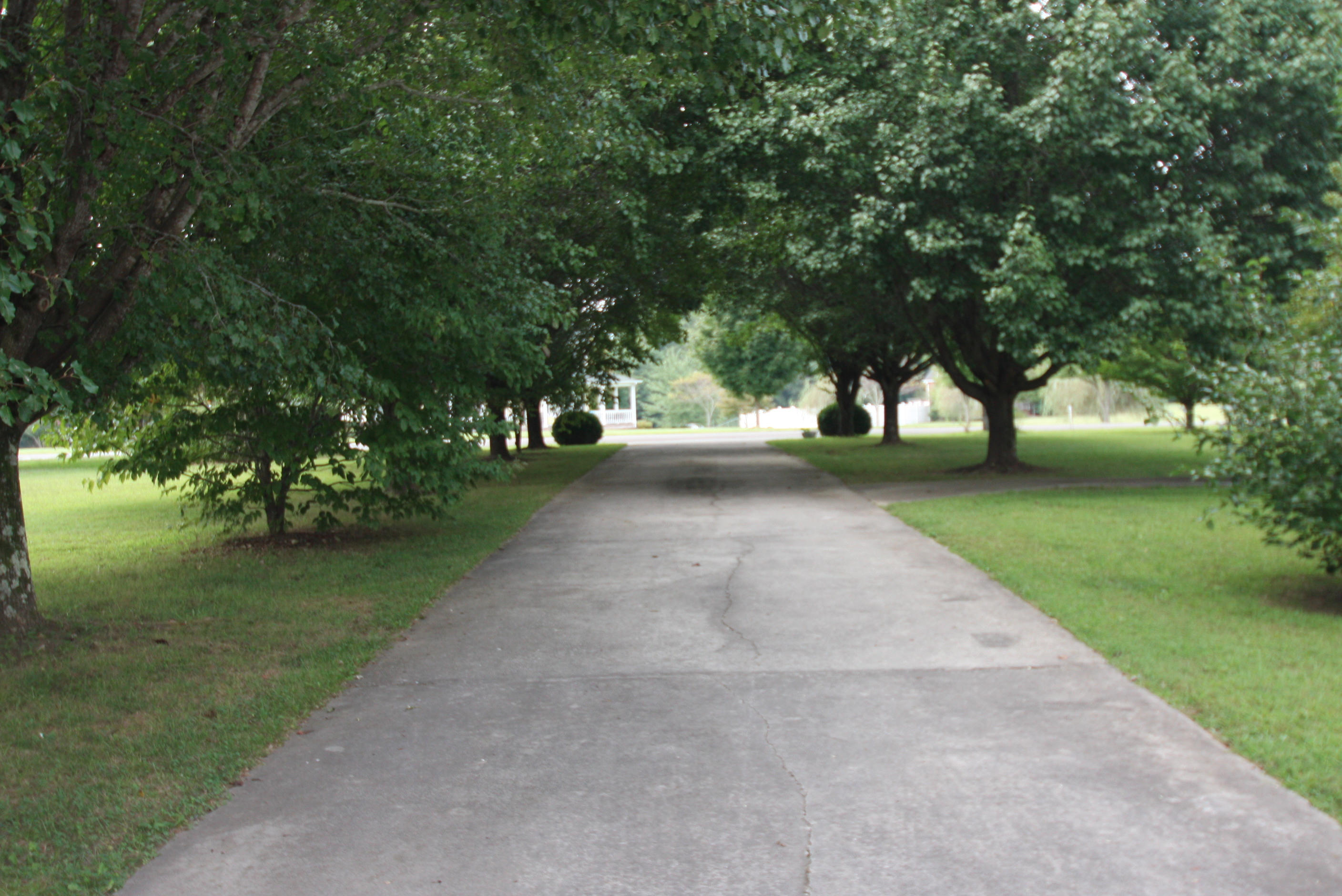 137 Morgan Field Road Wartburg, TN 37887 - Photo 2 of 24 Tree covered driveway!