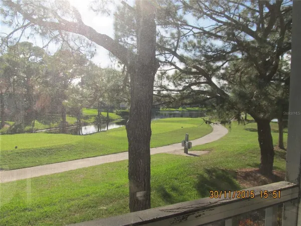 a park with a bench and trees