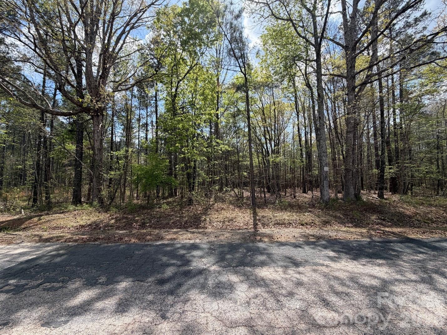 0 Bethlehem Road Blackstock, SC 29014 - Photo 1 of 5 Gallery Image 1