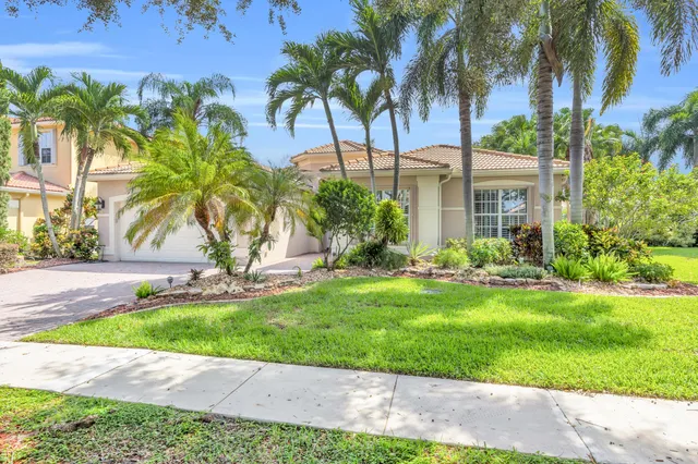 a view of a backyard with a plants and palm trees