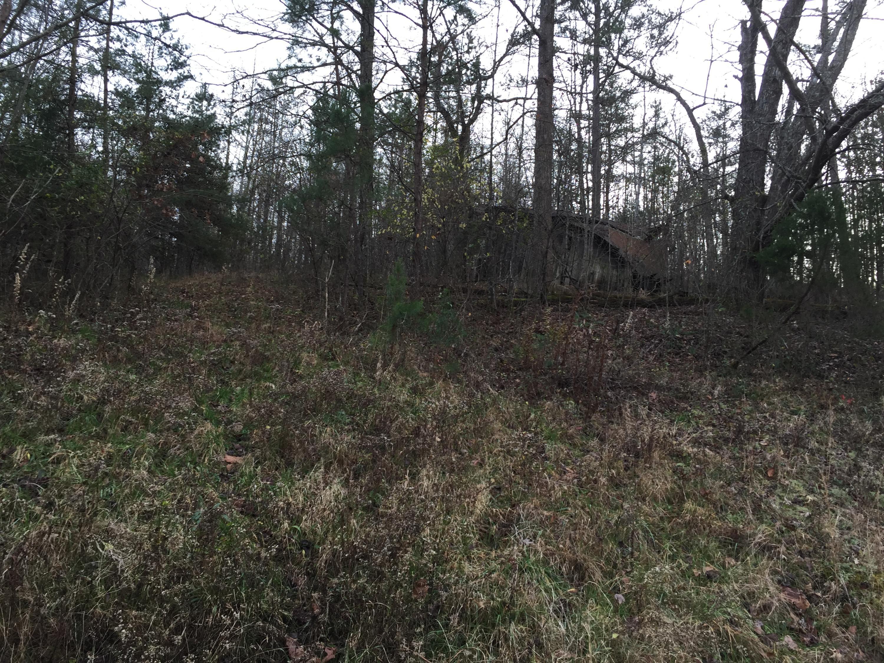 1331 Stewart Road Somerset, KY 42501 - Photo 7 of 18 A9273060-A6BE-4EE9-8157-2540671F518B<|><