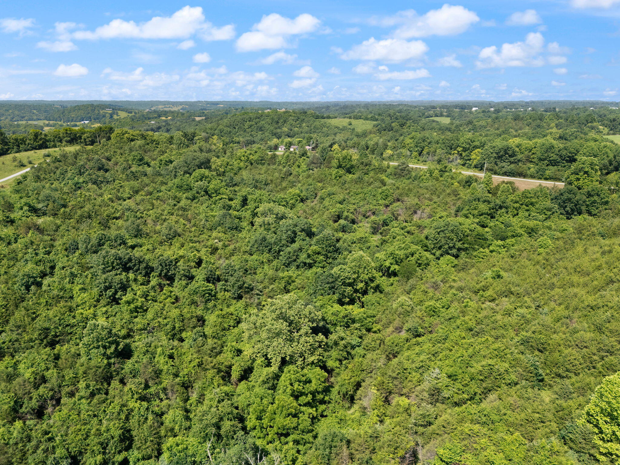 9999 Mann Road Mount Olivet, KY 41064 - Photo 9 of 28 7-web-or-mls-DJI_20250624110807_0343_D