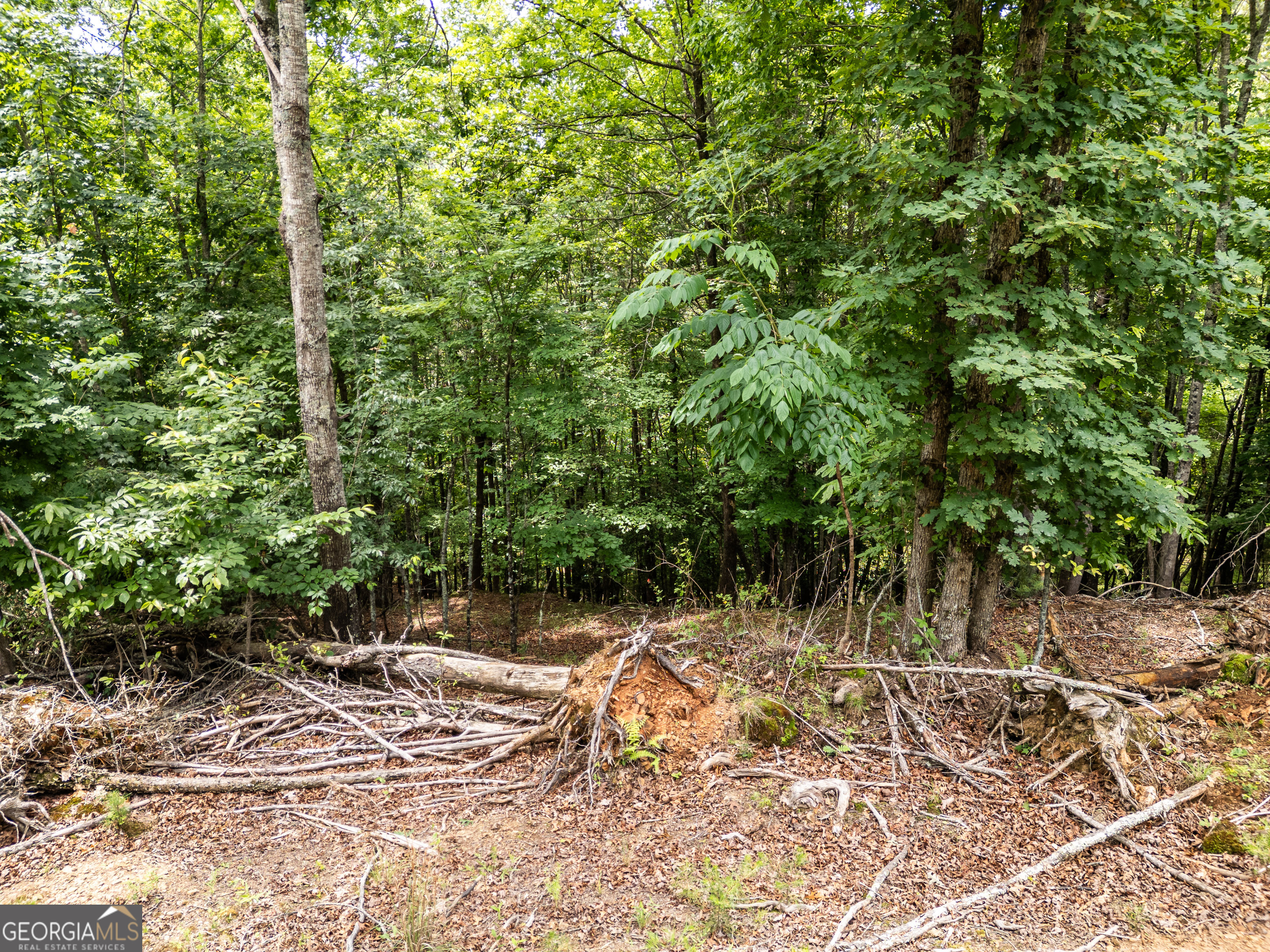 1 Stormy Ridge Brasstown, NC 28902 - Photo 8 of 20