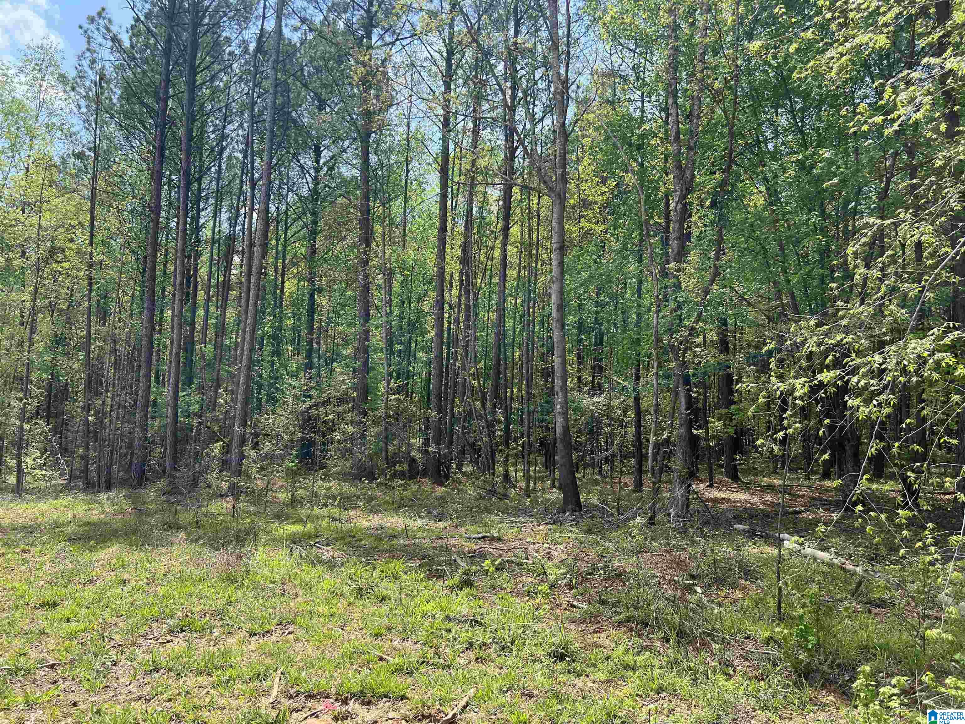 371 North Horton Road, Unit 1A Wilsonville, AL 35186 - Photo 4 of 8