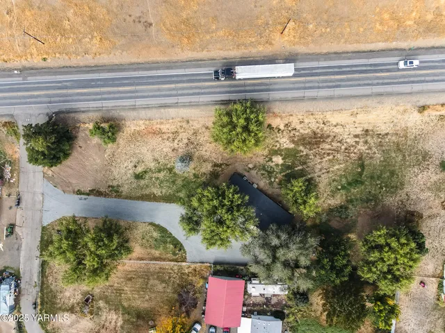 a view of a garden from a window