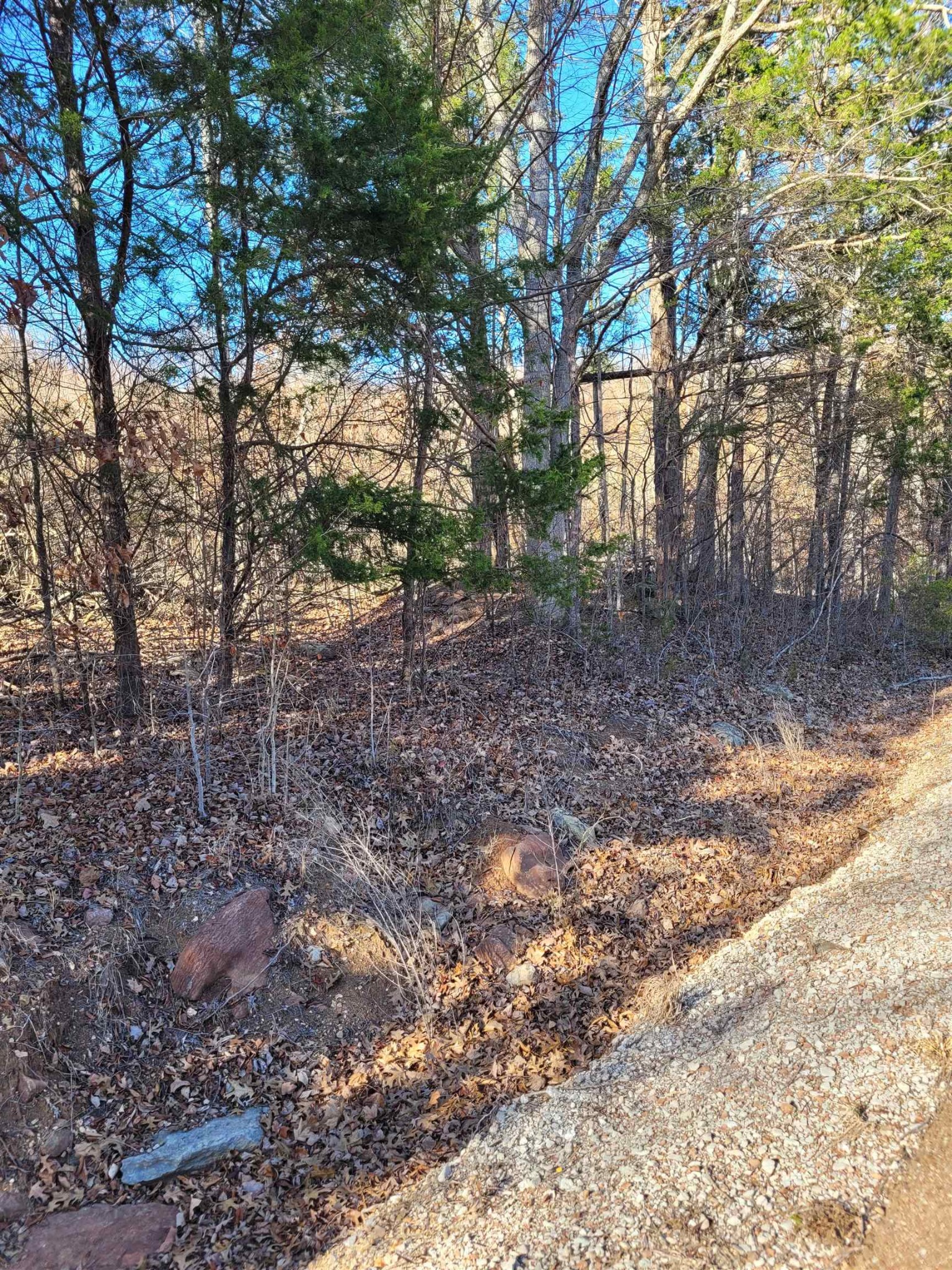 1 Whiteoak Road Linden, TN 37096 - Photo 22 of 28 Gallery Image 22