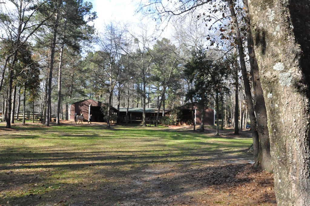 1201 Clayton Road Ridge Spring, SC 29129 - Photo 10 of 56