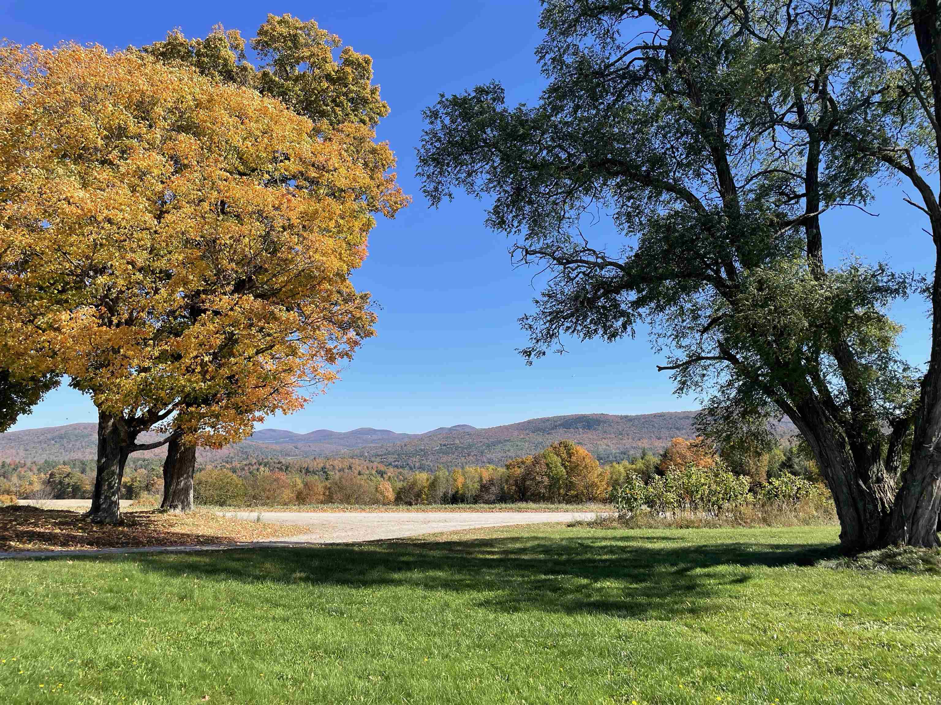 338 Johnson Road Marshfield, VT 05658 - Photo 34 of 45