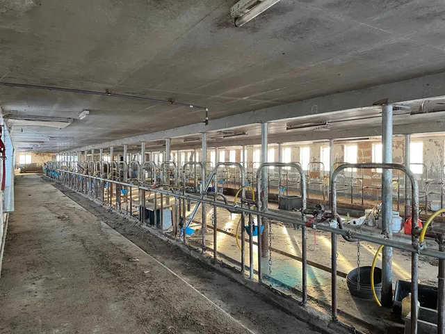 $975,000 | 338 Johnson Road, Marshfield, VT 05658