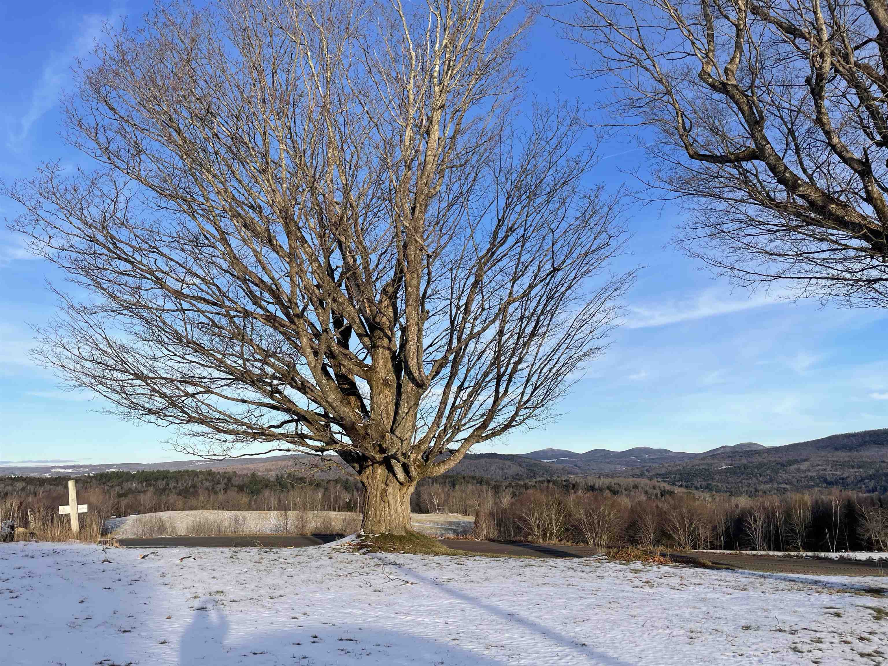 338 Johnson Road Marshfield, VT 05658 - Photo 44 of 45