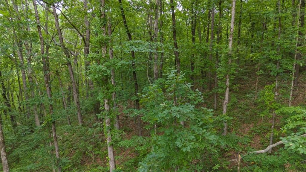 581 Nations Drive Canton, GA 30114 - Photo 12 of 12