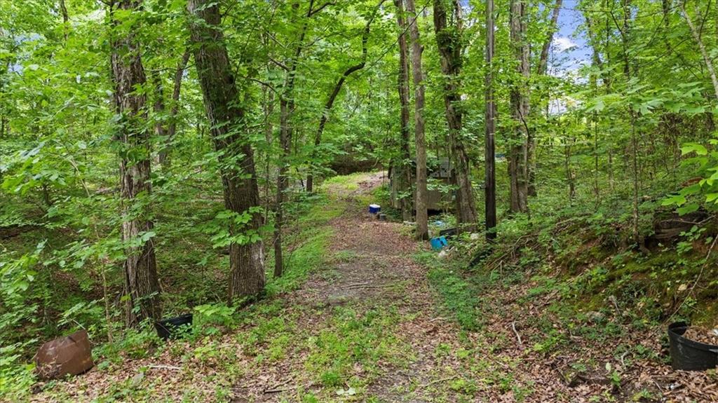 581 Nations Drive Canton, GA 30114 - Photo 4 of 12