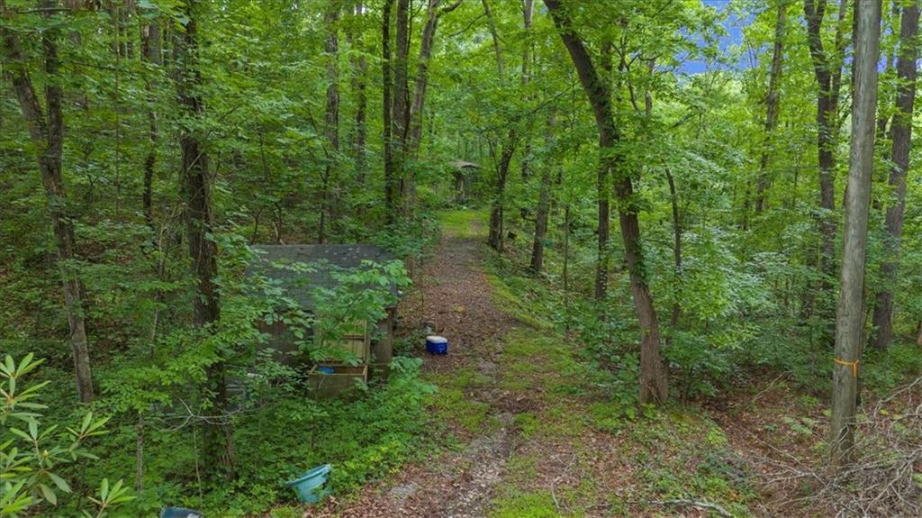 581 Nations Drive Canton, GA 30114 - Photo 4 of 11