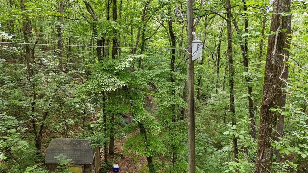 581 Nations Drive Canton, GA 30114 - Photo 5 of 11