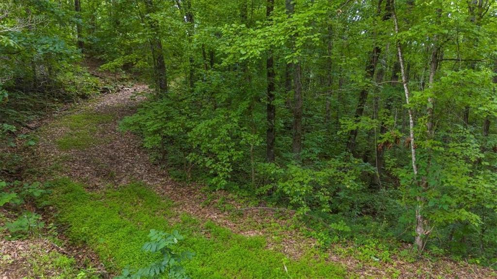 581 Nations Drive Canton, GA 30114 - Photo 7 of 11