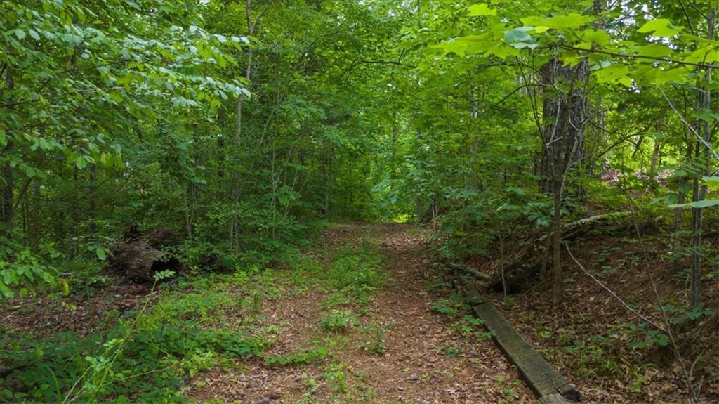 581 Nations Drive Canton, GA 30114 - Photo 9 of 12