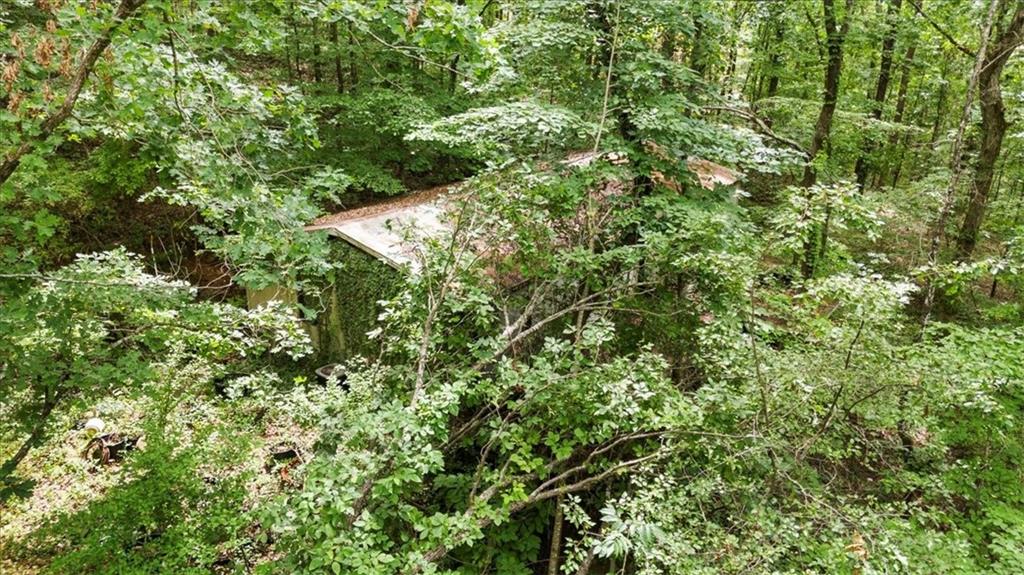 581 Nations Drive Canton, GA 30114 - Photo 10 of 11