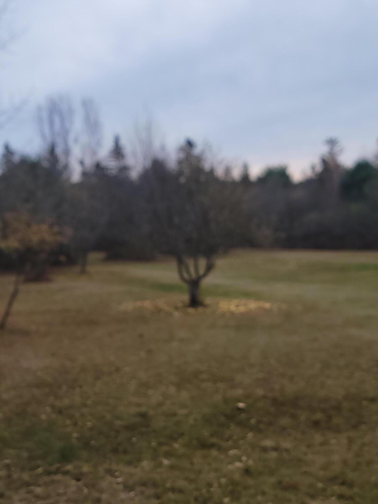 130 Shipyard Road Dennysville, ME 04628 - Photo 32 of 33