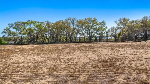 an aerial view of a house with a swimming pool a yard and plants