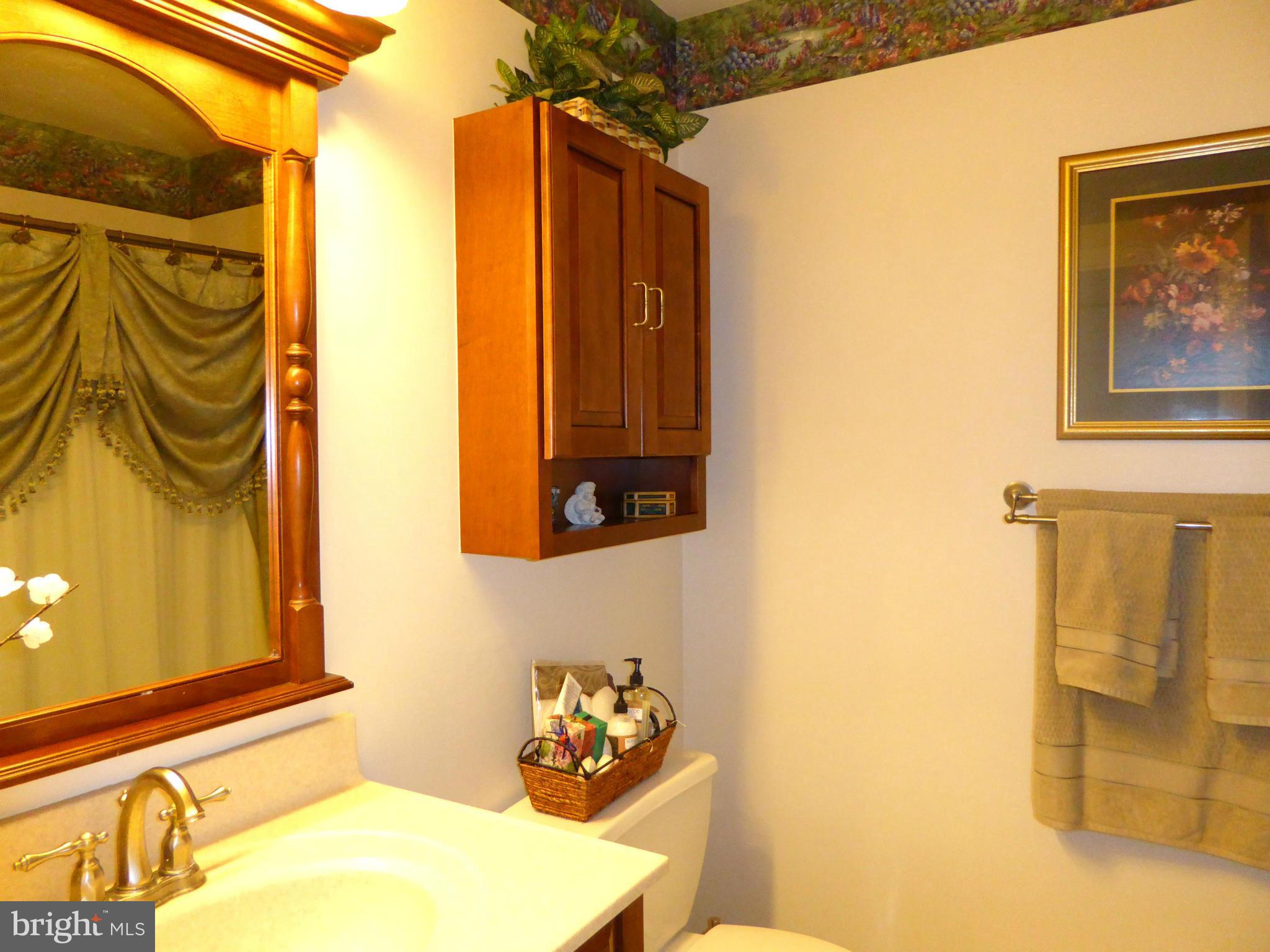 3734 Seneca Garden Road Baltimore, MD 21220 - Photo 22 of 25 Bath