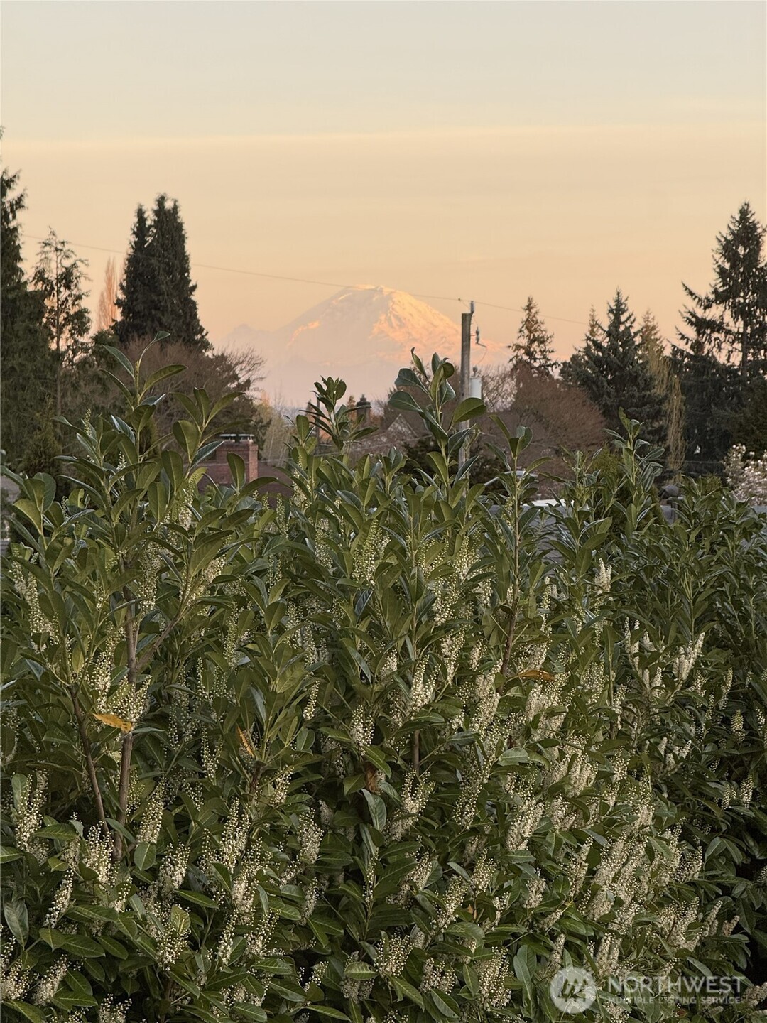 3813 Northeast 70th Street Seattle, WA 98115 - Photo 4 of 40