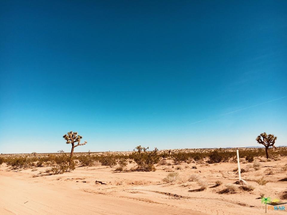 3145 Sunny Vista Road Joshua Tree, CA 92252 - Photo 12 of 18 sunny vista 9