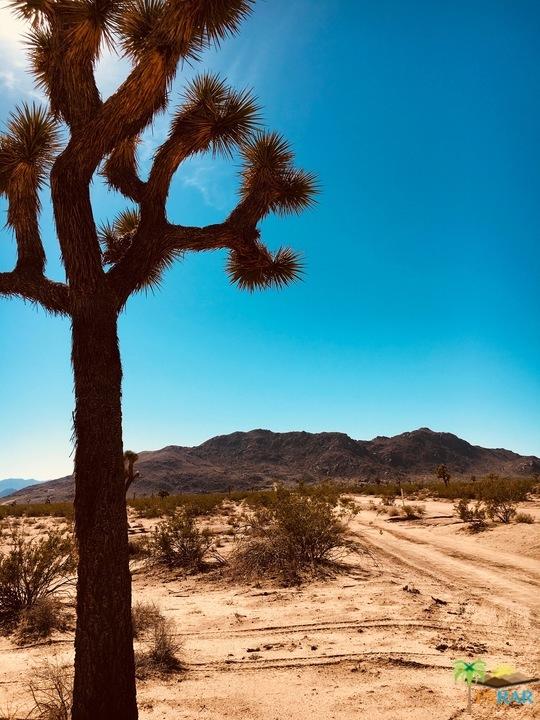3145 Sunny Vista Road Joshua Tree, CA 92252 - Photo 13 of 18 sunny vista 8