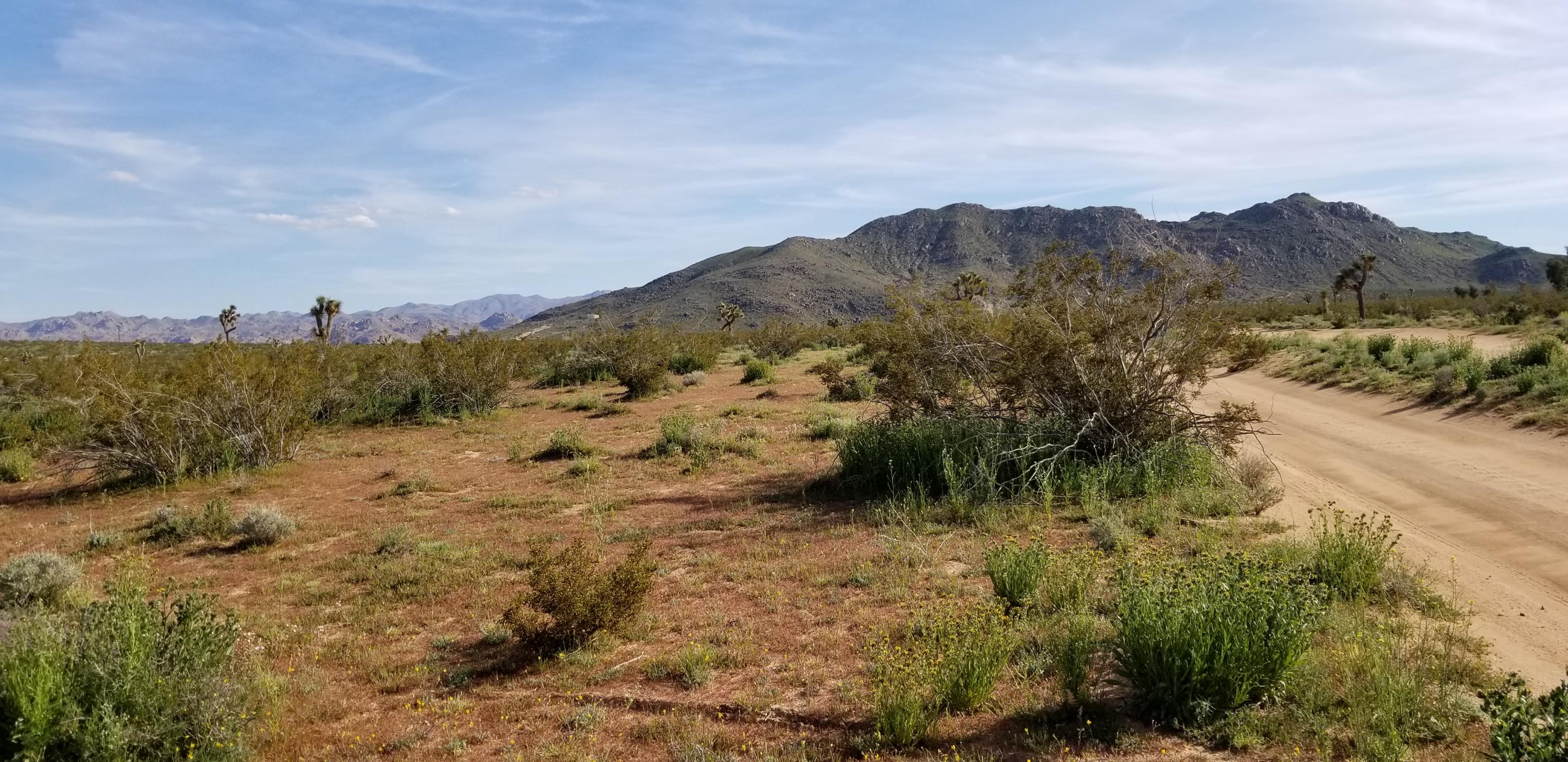 3145 Sunny Vista Road Joshua Tree, CA 92252 - Photo 3 of 18 20190322_161903