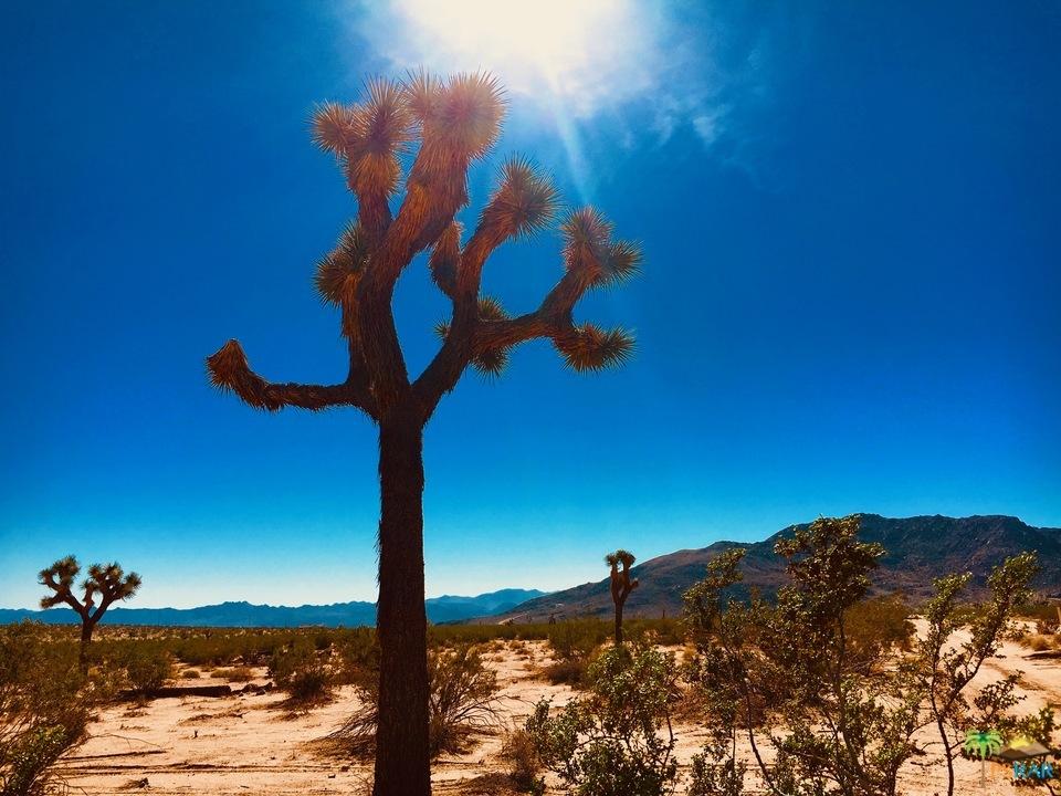 3145 Sunny Vista Road Joshua Tree, CA 92252 - Photo 5 of 18 sunny vista 16