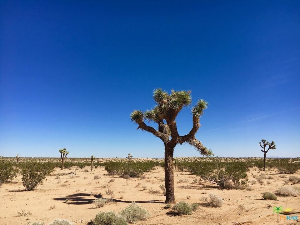 3145 Sunny Vista Road Joshua Tree, CA 92252 - Photo 7 of 18 sunny vista 14