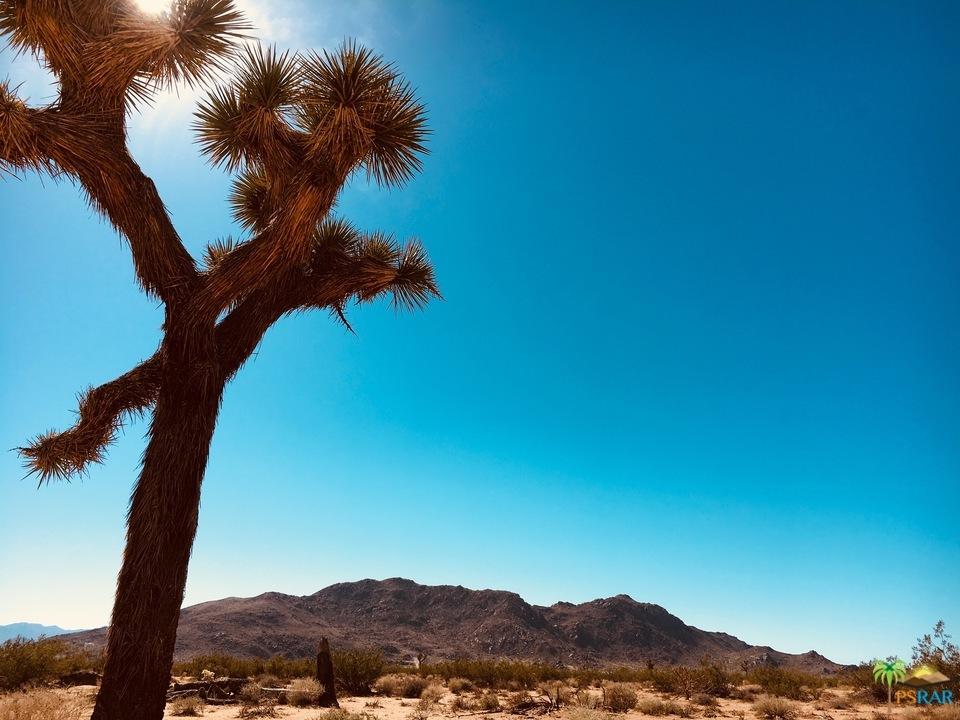 3145 Sunny Vista Road Joshua Tree, CA 92252 - Photo 8 of 18 sunny vista 13