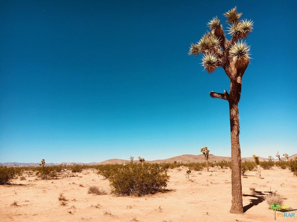 3145 Sunny Vista Road Joshua Tree, CA 92252 - Photo 9 of 18 sunny vista 12