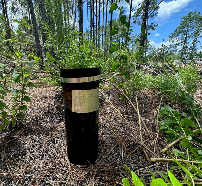 796 Fisher Road Ocklawaha, FL 32179 - Photo 2 of 7 a view of a garden