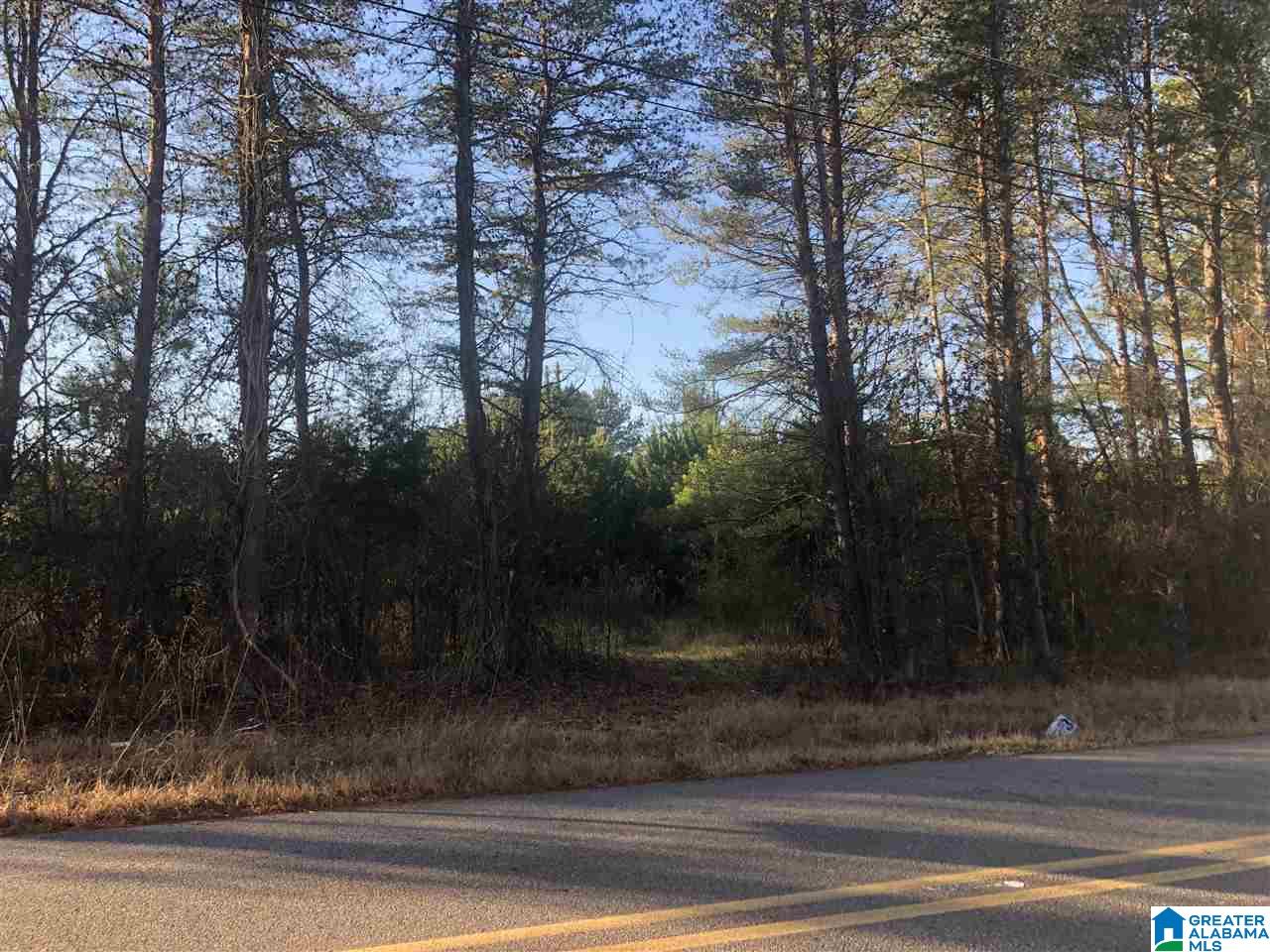 6611 Harpers Dairy Loop, Unit 2 ACRES Bessemer, AL 35022 - Photo 4 of 5
