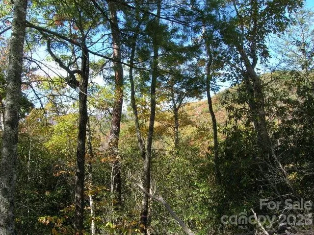 $90,000 | Lot 4 Chimney Top Heights, Bryson City, NC 28713