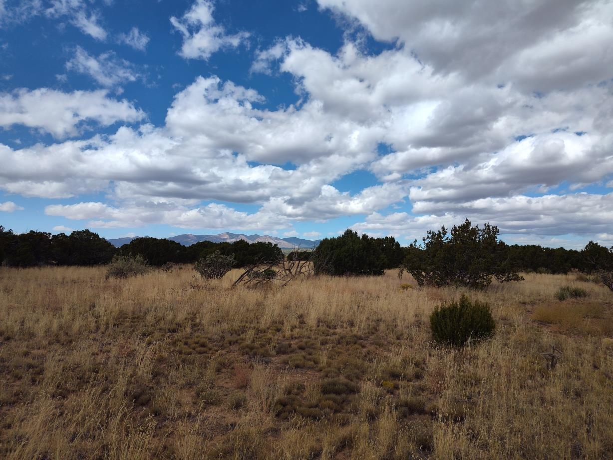 Golf Course Road Mountainair, NM 87036 - Photo 6 of 22 Gallery Image 6