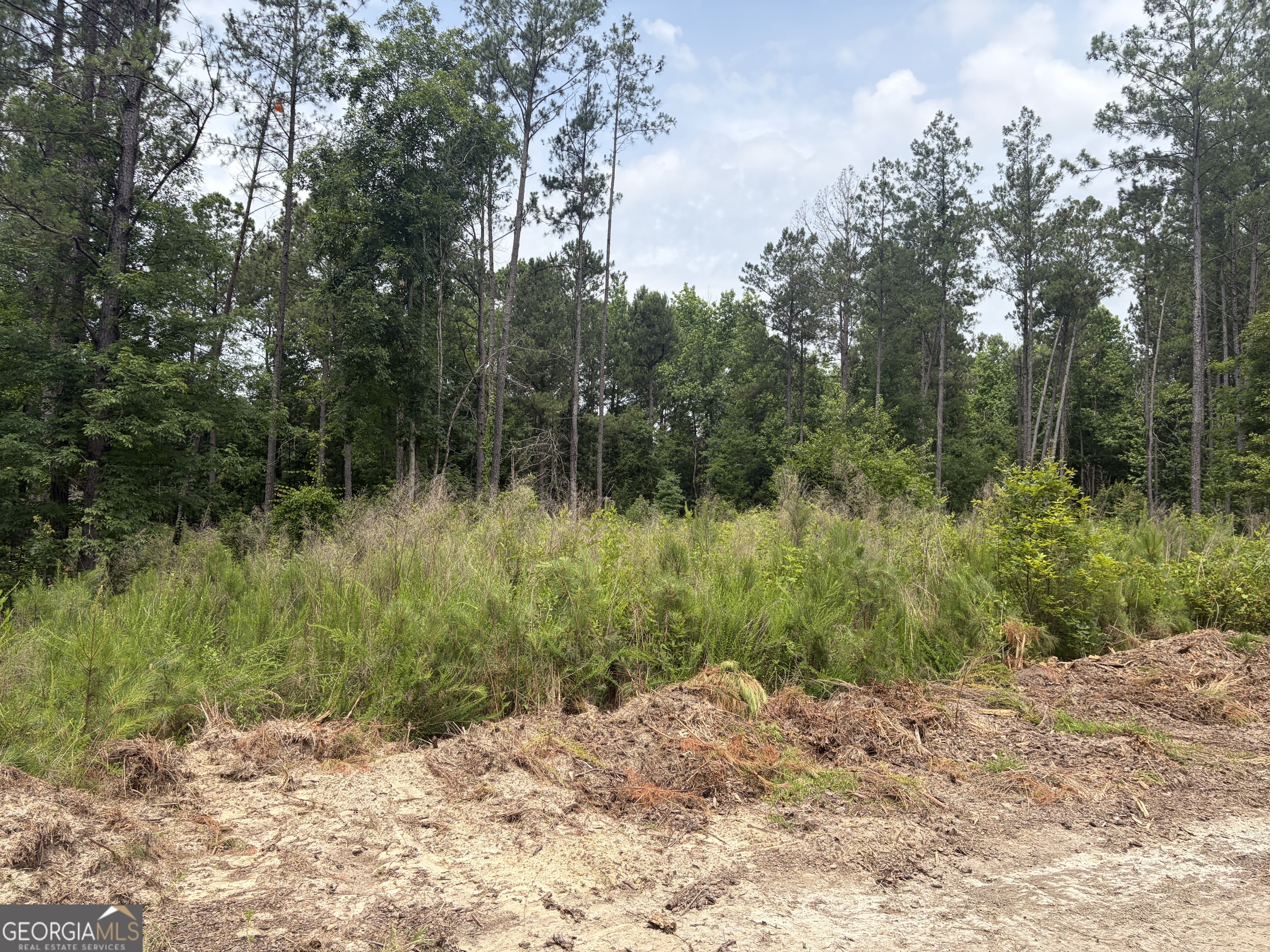 5 Sunhill Grange Road Sandersville, GA 31018 - Photo 4 of 8