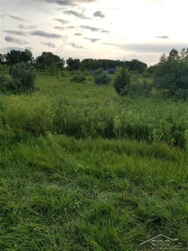 North Thomas Road Saginaw, MI 48609 - Photo 2 of 2