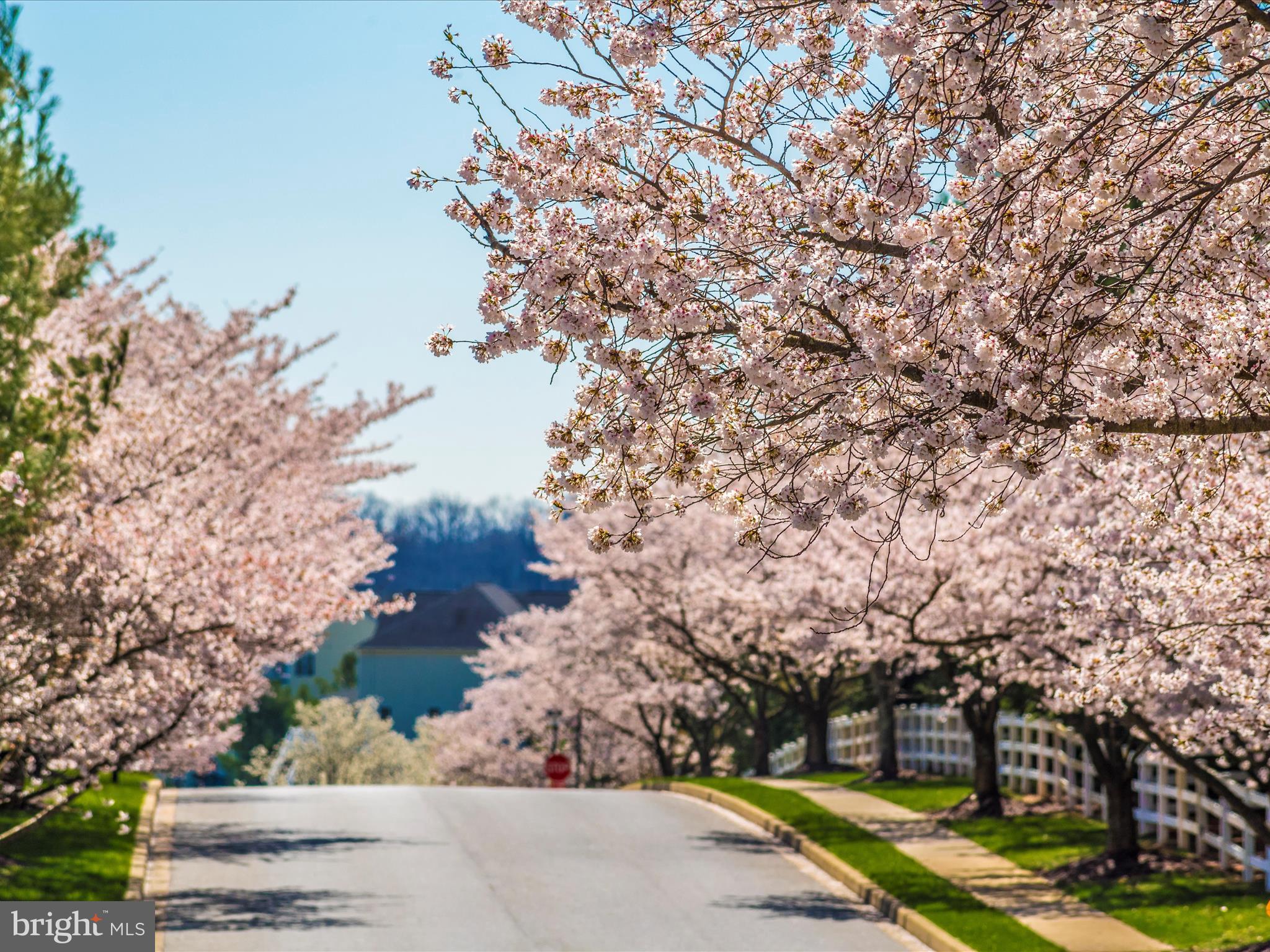 1402 Marian Way Mount Airy, MD 21771 - Photo 54 of 66 Community