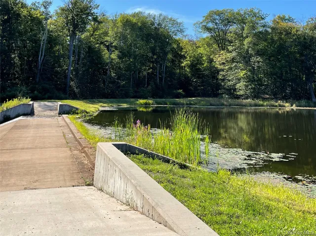 a view of a lake with a large park