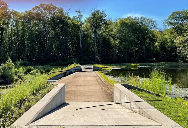 a view of swimming pool with a garden