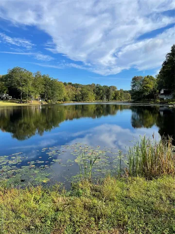 a view of a lake with a city