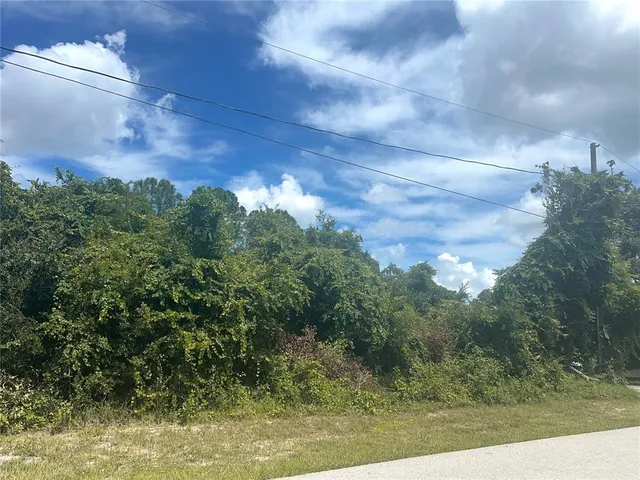 a view of a city with lush green forest