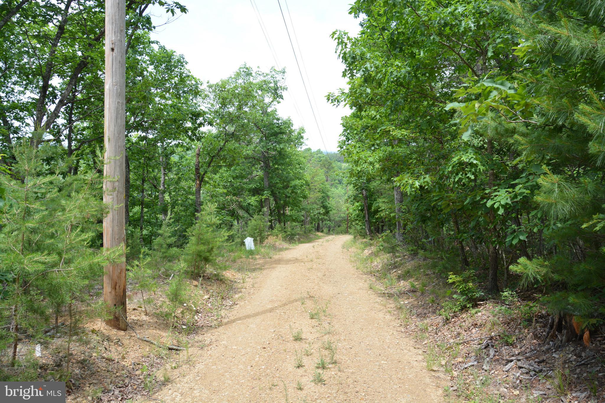 Two Lots On Siler Road Winchester, VA 22603 - Photo 21 of 38 a view of a road with trees in the background