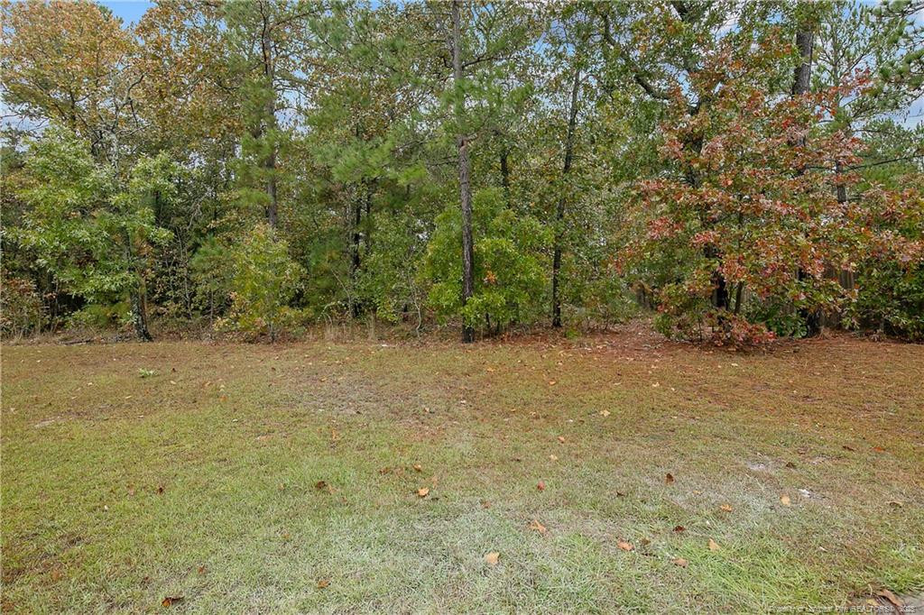 159 English Oak Drive Bunnlevel, NC 28323 - Photo 48 of 48 Photo 48