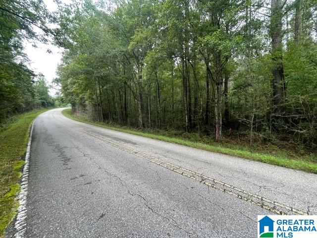 15 County Road, Unit 80 Wadley, AL 36276 - Photo 6 of 6