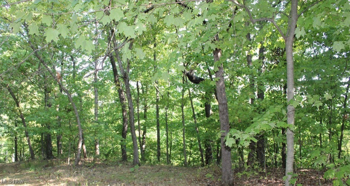 Leffler Road Roseville, OH 43777 - Photo 11 of 49 View of local wilderness