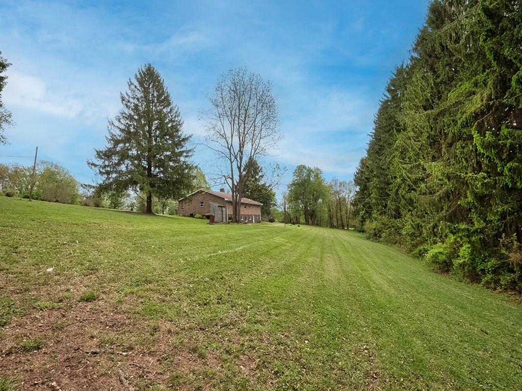 353 Thompson Hill Road Aliquippa, PA 15001 - Photo 45 of 50 View Featuring the Grove of Pine Trees