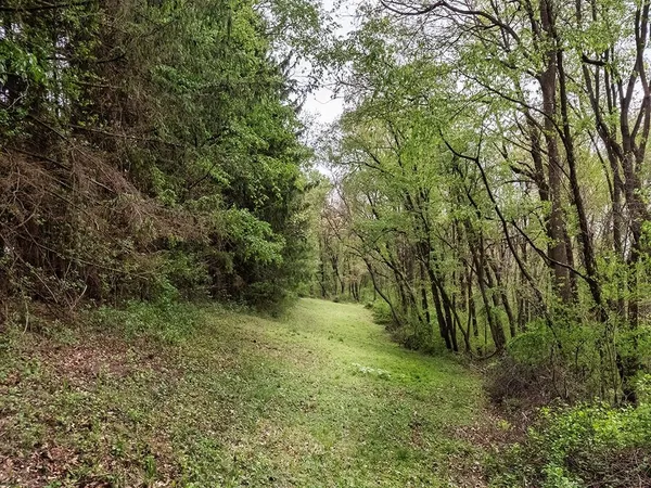 $500,000 | 353 Thompson Hill Road, Aliquippa, PA 15001